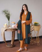 Fabric Dhanak Shutterless Neck Emb Patch