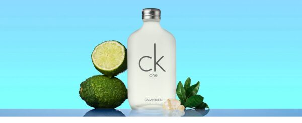 Calvin Klein Perfume CK One 100ML Fresh Citrus Fragrance Layout