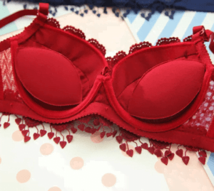 Red Lace Bra