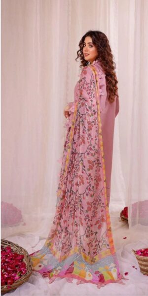 limelight summer collection 2024