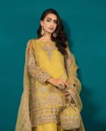 LUXURY WEDDING PARTY WEAR