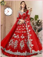 Bride Wedding Dress D1 By Maria B