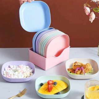 plastic 10 Pcs Plate Set With Holder