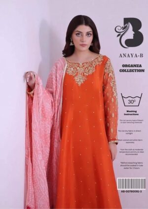 organza dress design Embroidered Ready to Wear