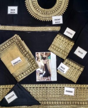 Chiffon maxi Brand Oye Ji