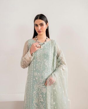 Chiffon heavy embroidery ready to wear D1
