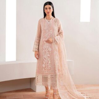 Chiffon heavy embroidery ready to wear D2