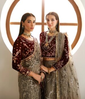 designer latest velvet suit designs for saree