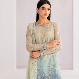 jazmin embroidered chiffon By Al Nisa