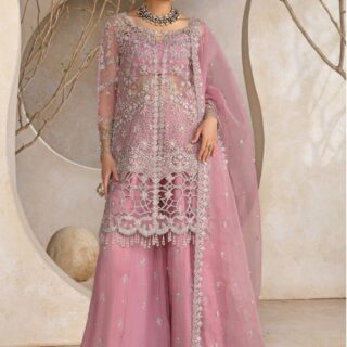 organza suit with silk trousers rang rasiya