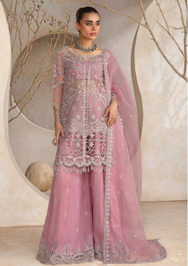 Organza suit with silk trousers rang rasiya