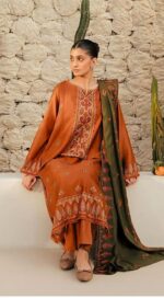 beechtree sale Dhanak with Embroidery