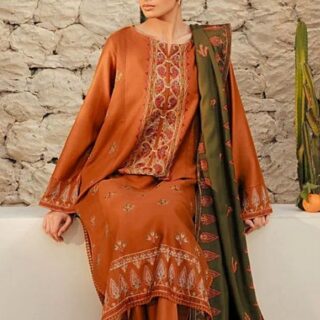 beechtree sale Dhanak with Embroidery