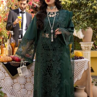 bin ilyas lawn summer collection 2025