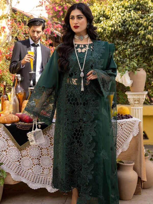 Bin ilyas lawn summer collection 2025