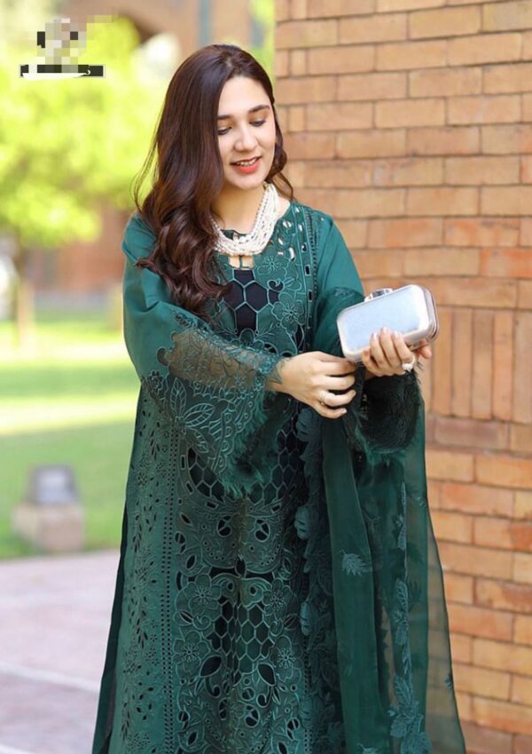 Bin ilyas winter collection 2024