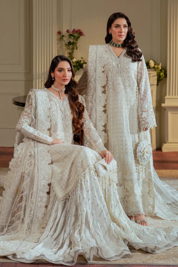 Baroque winter collection organza dress Khadi Net