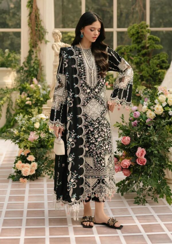 Bin Ilyas Winter Collection 2026