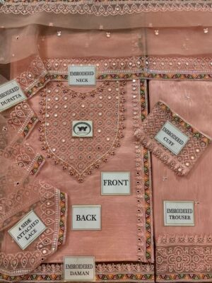 charizma winter collection 2025 collection dress