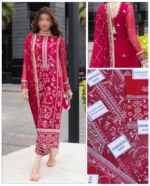 Sahane Pk Heavy Embroidered Chiffon Embellished