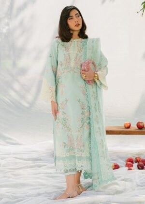 Bin Ilyas Lawn Heavy embroidered lawn front 2026