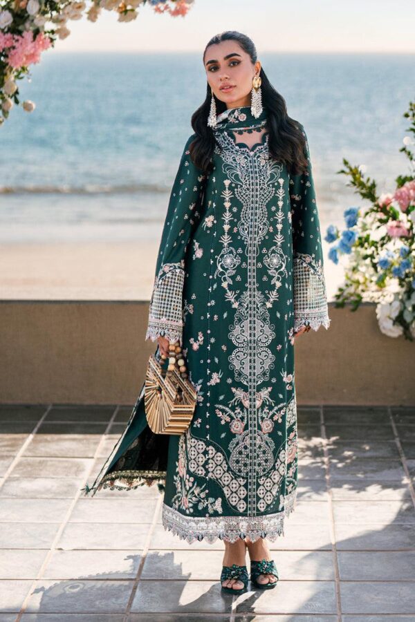 qalamkar lawn collection with prices sale