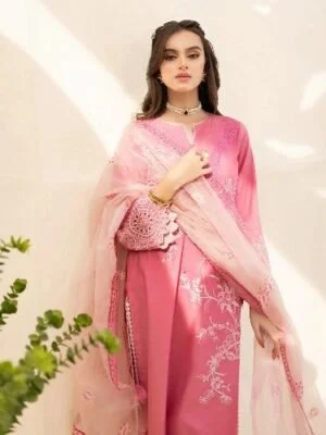 roheenaz pk